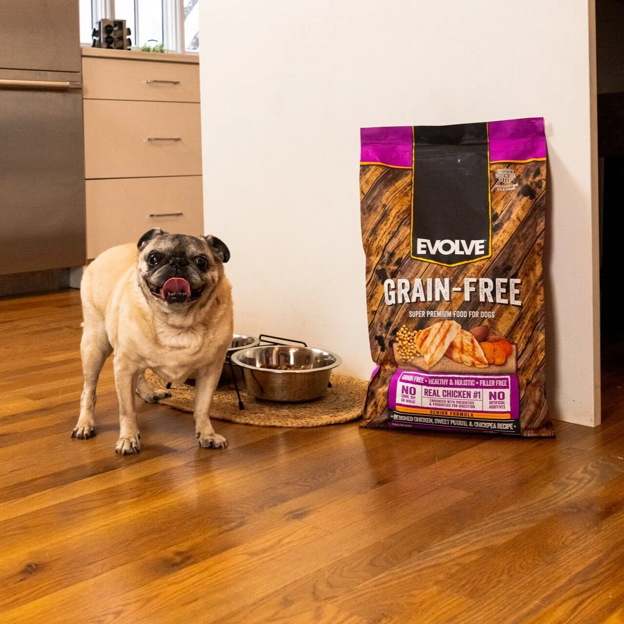 How To Best Care For Your Senior Dog 