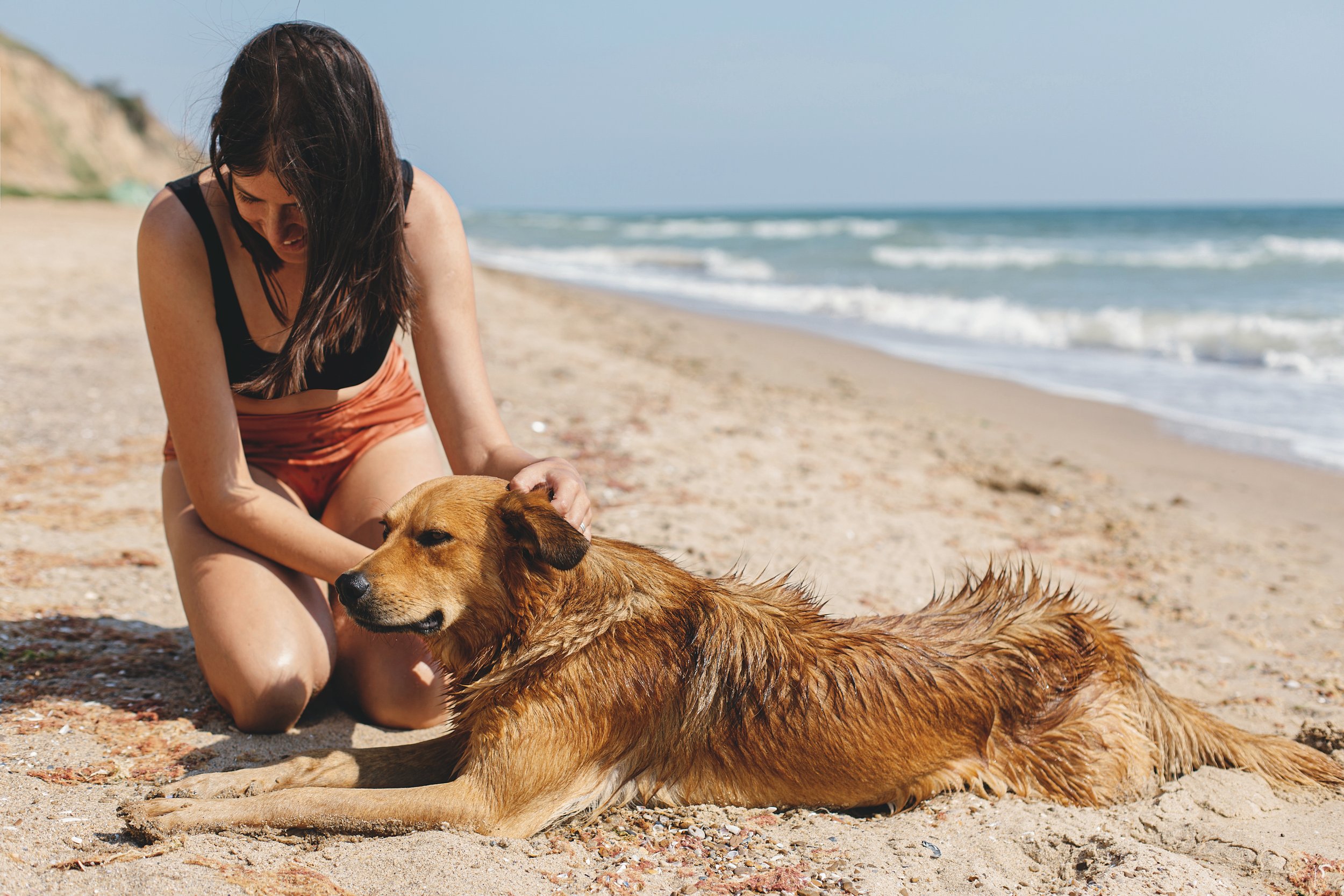 Beat the Heat: Helpful Tips to Keep Your Pets Cool this Summer