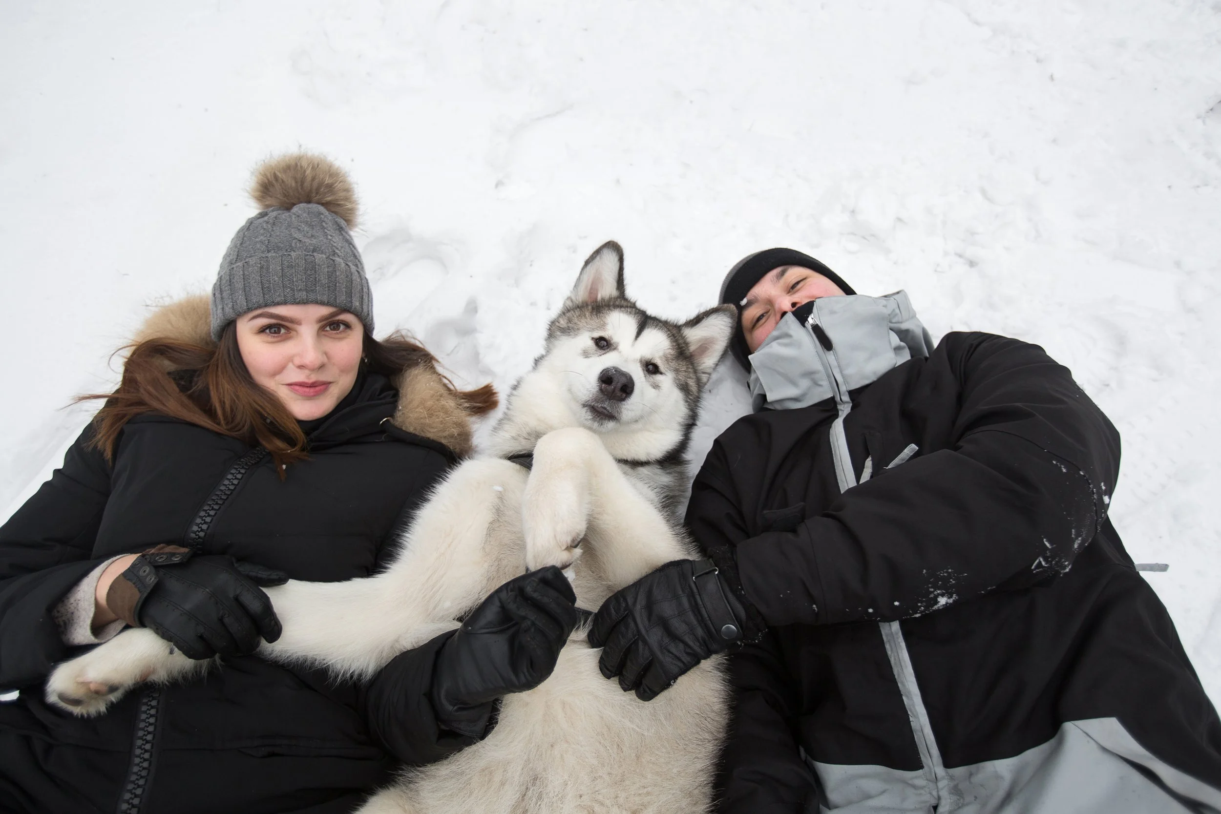 Fun Activities For Dogs in Cold Weather