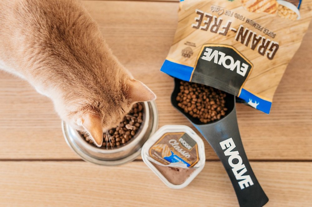 Does your cat like to eat wet food, dry food, or a combo of both? However your cat likes to wet their whiskers, we have a variety of delicious recipes that will have your cat meowing for joy 😻 

Find our more about our variety of cat products by cli