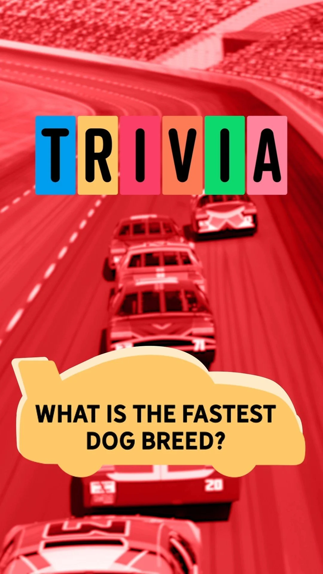 fun-cold-weather-activities-for-dogs-evolve-pet-food