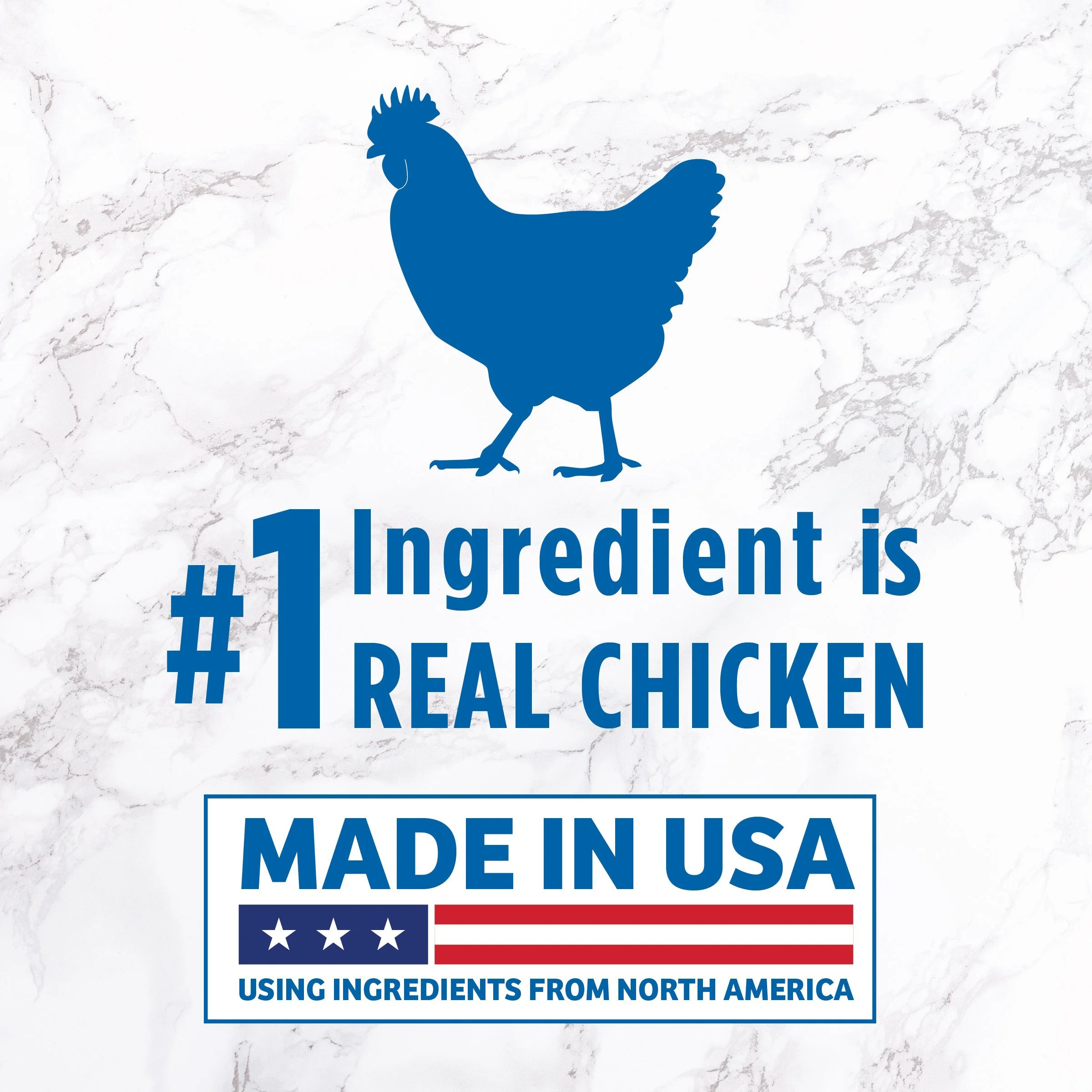 Evolve_Dog_Meatballs_ChickenCheese_Layout-03.jpg