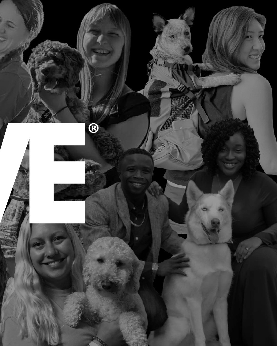 Family-owned. American-made. Unwavering in quality. 🐶🇺🇸 Because your pet deserves the best &ndash; every single day. 

#EvolvePets #AmericanMade #FamilyOwned #ChooseMoreChooseEvolve #PetFamily #PetCare