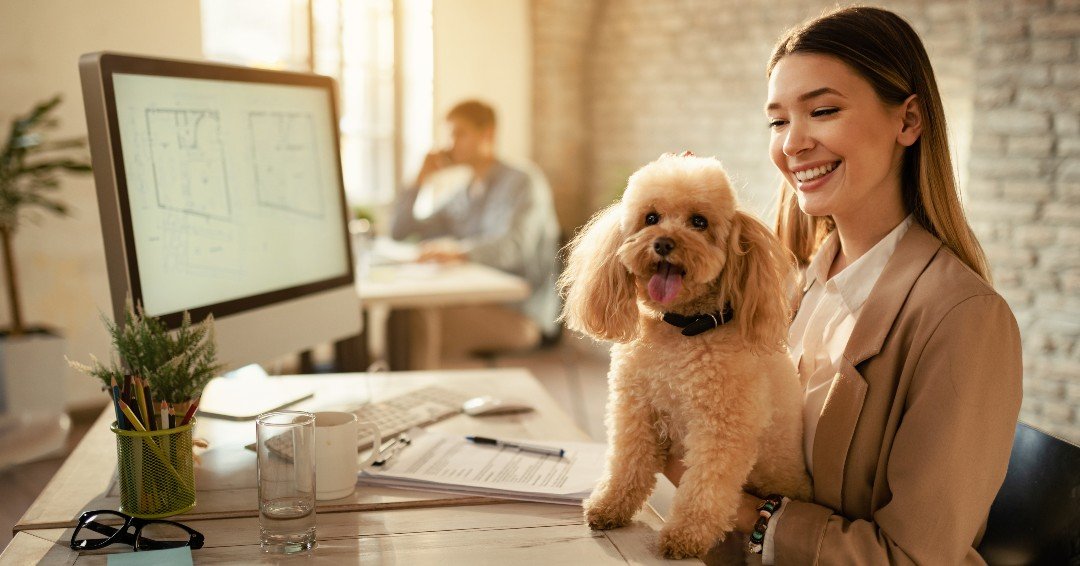 When your coworker has four legs and fur, every meeting is a little more pawsome. 🐾💼
From boosting morale to lowering stress, there are real perks to bringing your dog to work&mdash;and we broke them down in our blog: &ldquo;Key Benefits to Taking 
