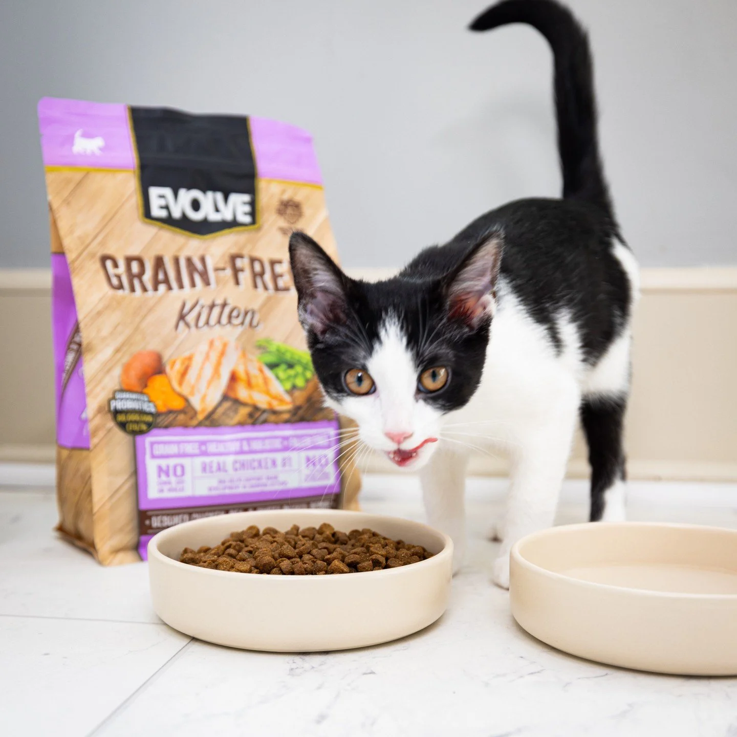 Our Evolve Grain-Free Kitten Recipe is made with real chicken as the #1 ingredient&mdash;no corn, wheat, or soy, just purr-worthy nutrition for your growing feline. 🐱✨

Packed with DHA for brain development and balanced nutrients for healthy growth&