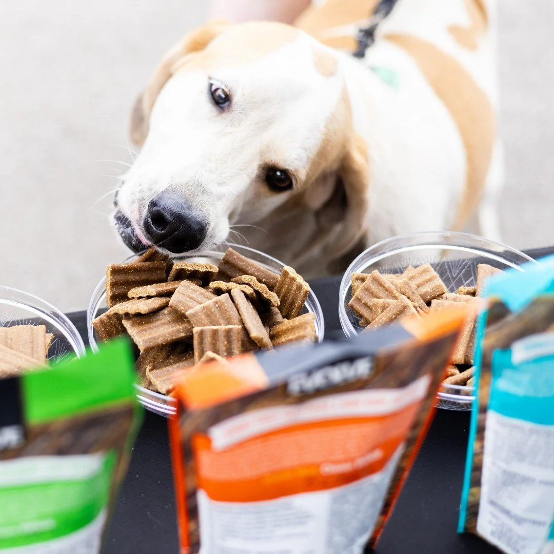 Caught in the act 👀🐶

When the treats are this good, resistance is futile. Evolve dog treats are made with real, wholesome ingredients your pup will go wild for&mdash;so don&rsquo;t be surprised if they try to help themselves! 🐾

💚 No artificial 
