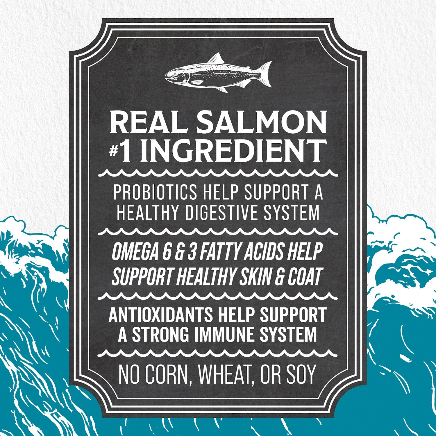 Evolve_Dog_SimplyLID_Salmon_Layout-06.jpg