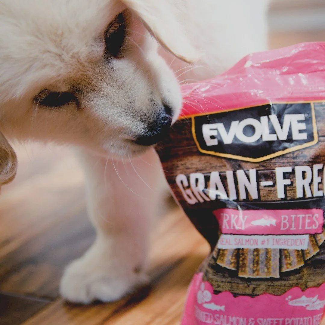 When snack time calls, Evolve answers 🐾✨

Our Grain-Free Jerky Bites are made with real salmon as the #1 ingredient and paired with sweet potato for a treat that&rsquo;s is so soft, chewy, and drool-worthy your pup will be trying to get the bag open