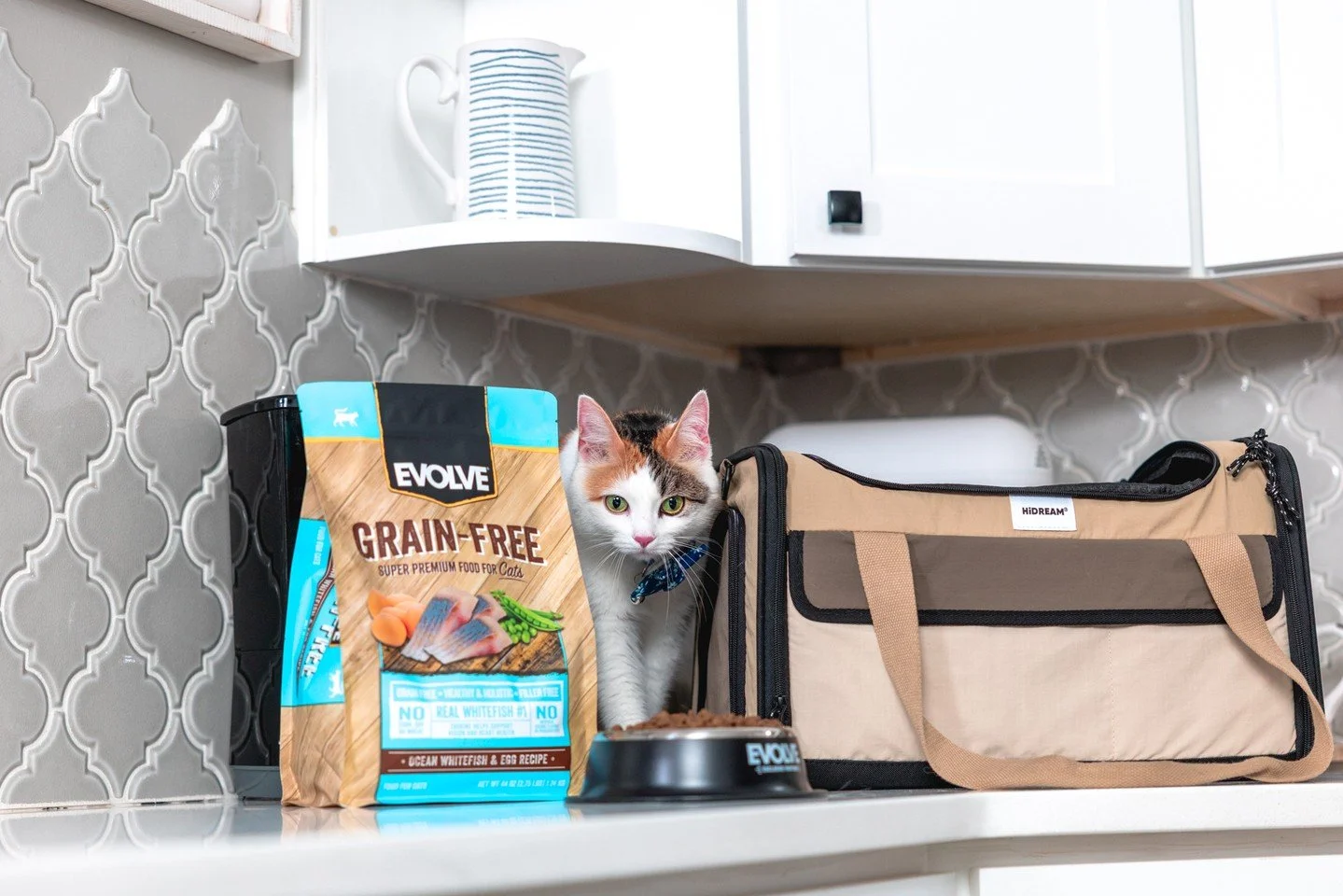 🚗 Travel buddy or homebody, your cat deserves a bowl that keeps them fueled for every adventure. 🐾 Our Ocean Whitefish &amp; Egg Recipe is packed with real protein + nutrients, minus the fillers. 🐟🥚

Shop here ➡️ https://bit.ly/4mNdhJV

#EvolvePe