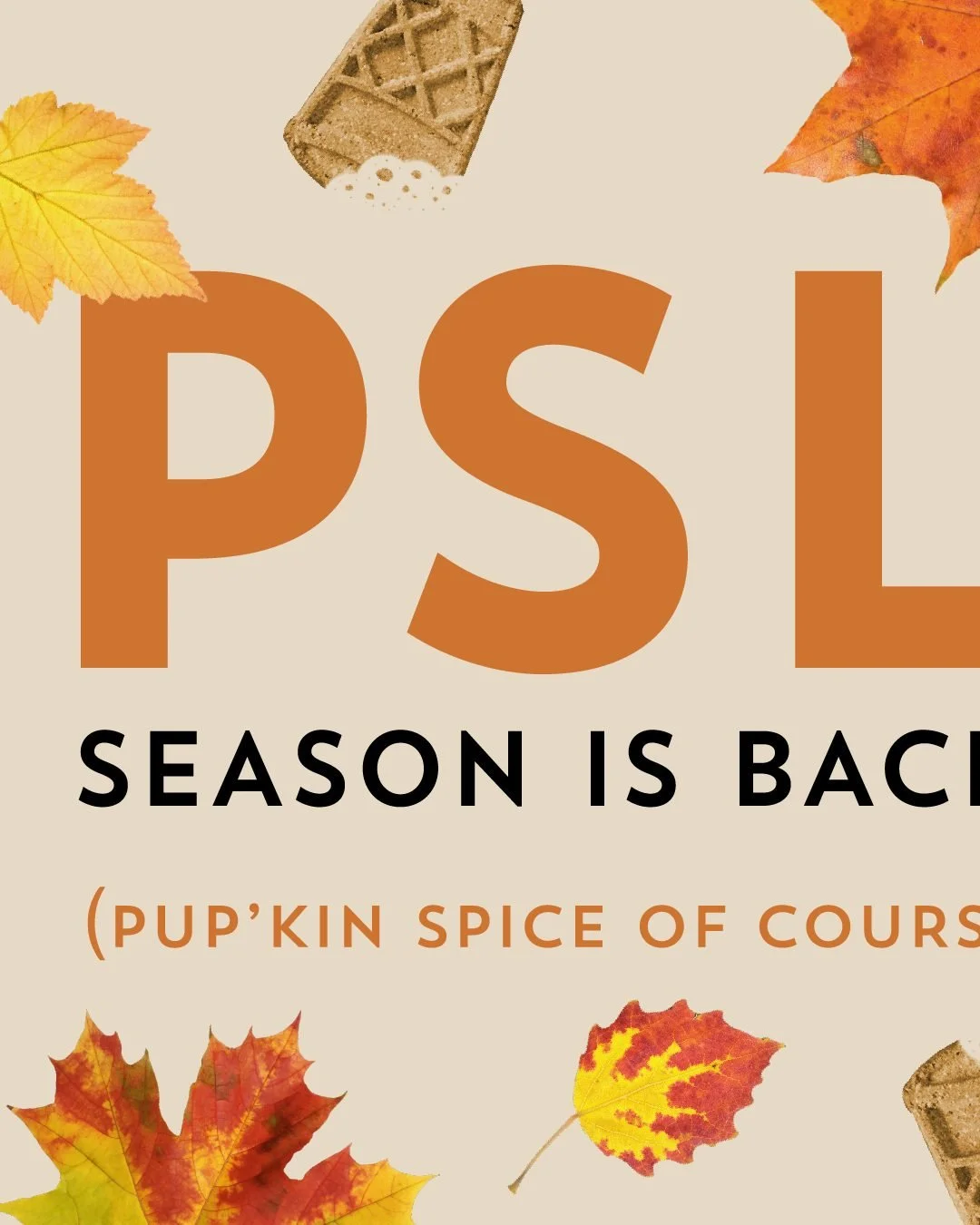 🍂☕ PSL Season is BACK! And yes&hellip; your pup gets their own latte fix too 😉🎃🐾

Our Pumpkin Spice Latte Biscuits are the coziest crunch of the season&mdash;crafted with real pumpkin + warm spices your dog will drool over. ✨

Because pumpkin spi