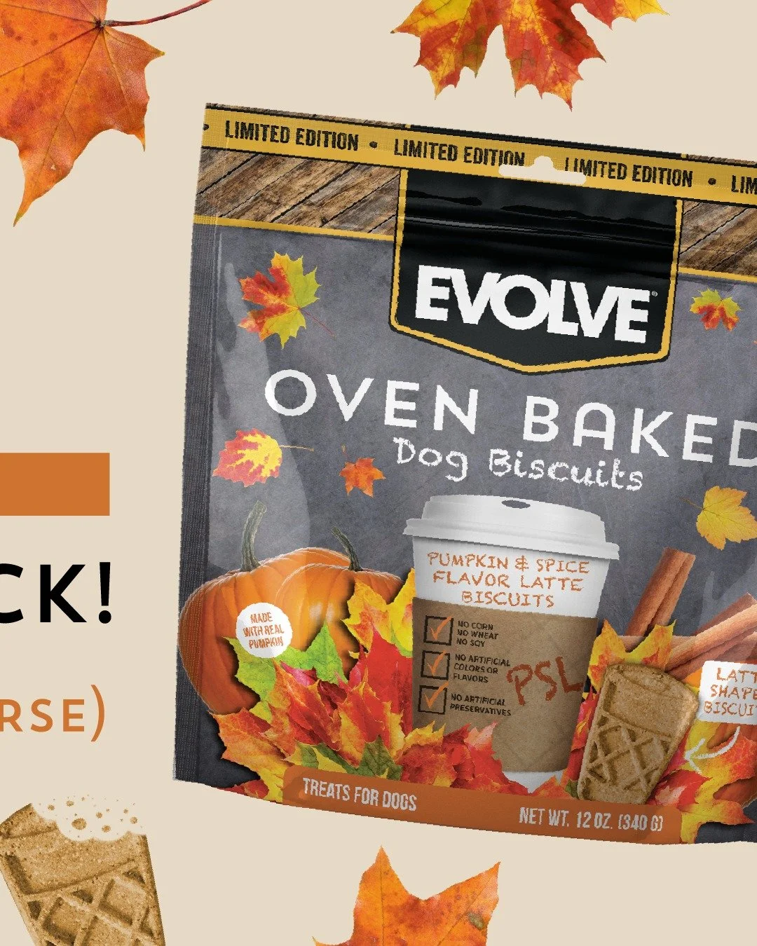 When the leaves change colors 🍁&hellip; the biscuits change flavors. 👀
PSL Season is OFFICIALLY here! 🎃🐕☕
Crunchy. Cozy. Pumpkin-y perfection.

Your pup&rsquo;s new fall obsession ➡️ Evolve Pumpkin Spice Latte Biscuits. ✨🐾

#PumpkinSpiceForPups 