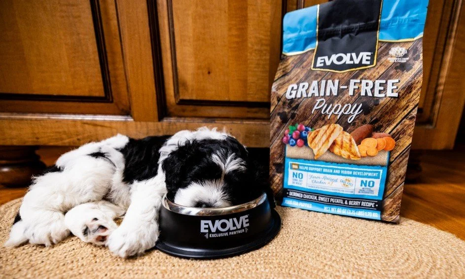 When the food&rsquo;s this good, sometimes you just can&rsquo;t stay awake long enough to finish it. 🐶💤

Our Grain-Free Puppy Recipe with Chicken, Sweet Potato &amp; Berry is crafted to help support the development of strong muscles, bones, and a h