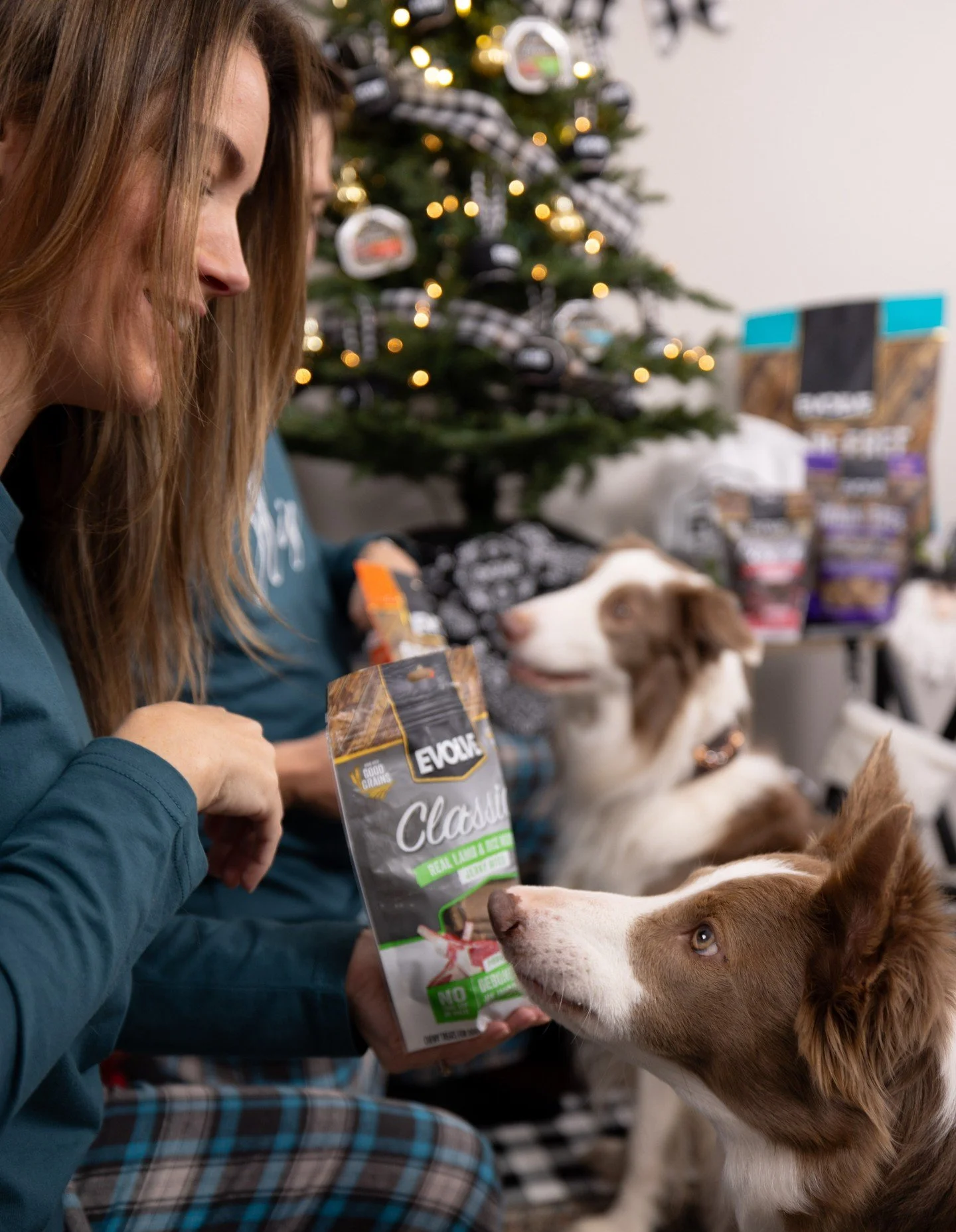 🎄 Pajamas, Christmas lights, and a bag of Evolve under the tree &mdash; sounds like the PAWfect holiday morning. 🐾 Make sure your pup&rsquo;s stocking is filled with the flavors they love most. 🌟

Shop our entire collection:
🎅Webstore
🎄InShop
🤶