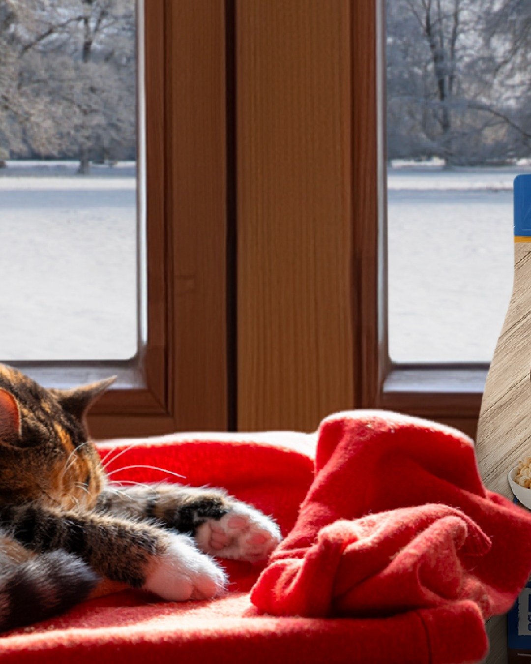 Winter means cozy days of spending time with friends, family and your favorite four legged friends 🐾 

Whether you're planning to explore a winter wonderland or snuggle under blankets, Evolve is here to help keep your pets happy and healthy all seas