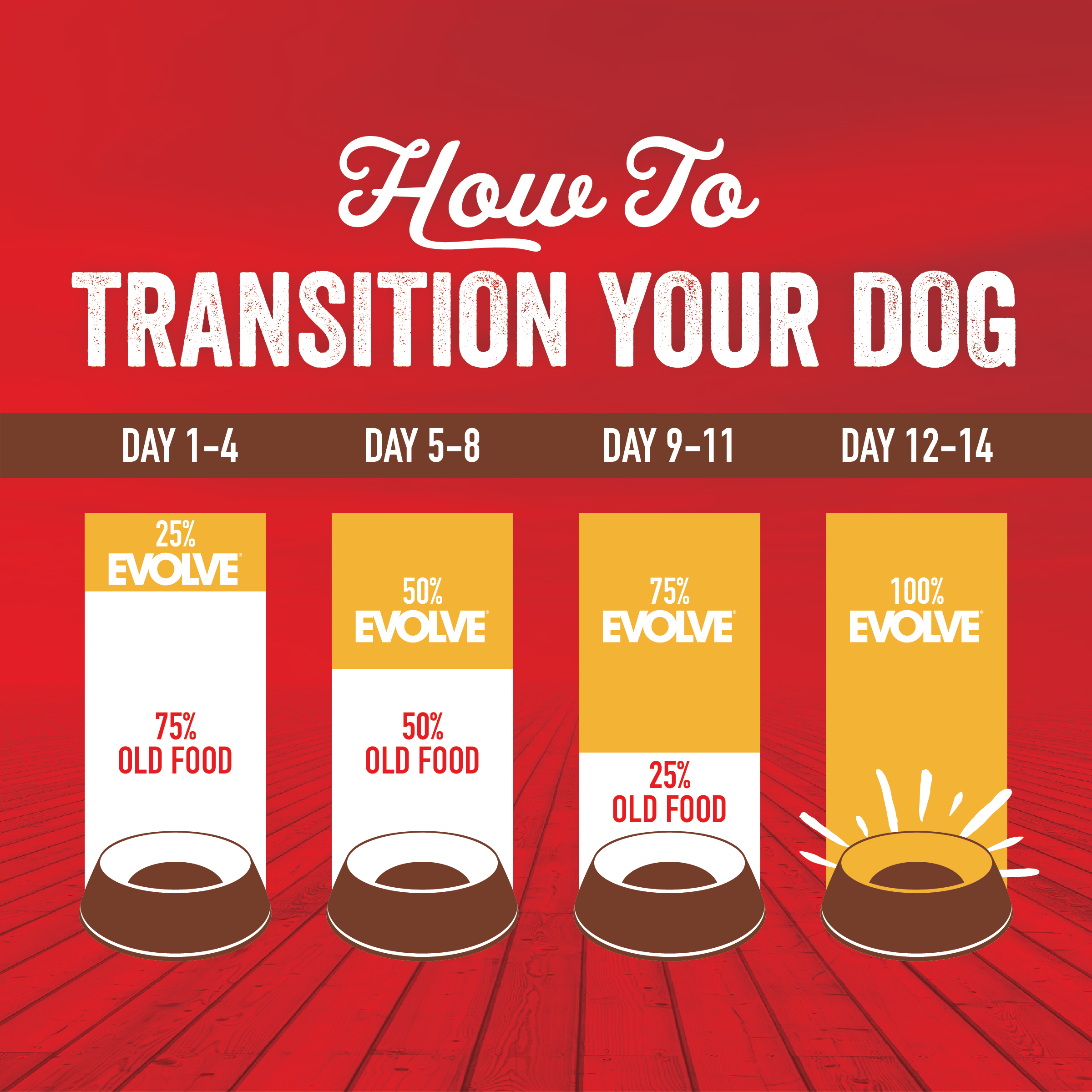 Evolve_Dog_GentlyBakedBoneBrothKibble_Beef_Layout-12.png