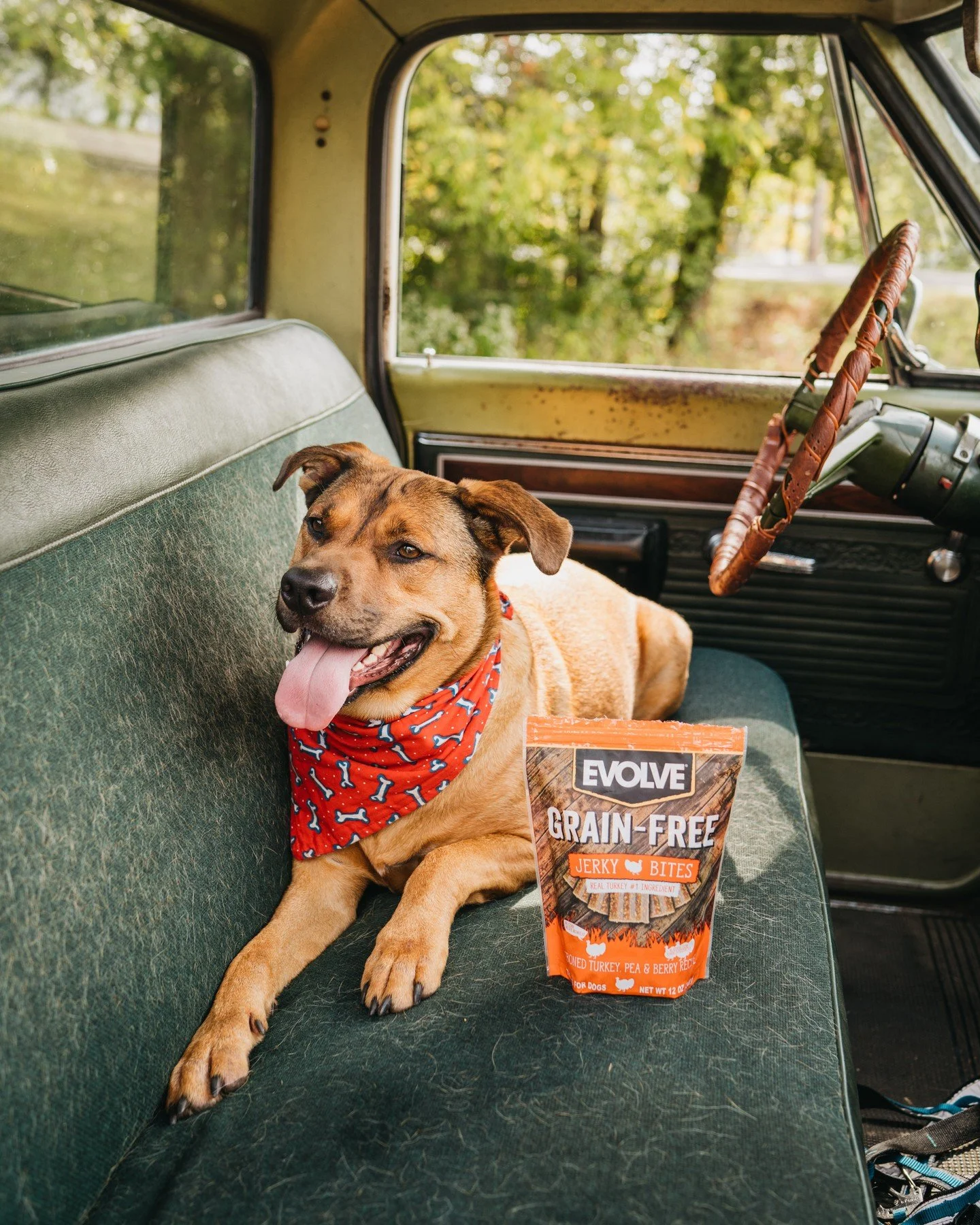 If your pup tags along with you everywhere from the coffee shop to the pickup line, you're our kind of friend! 🚗 🐶

Pop a bag of Evolve treats in the passenger seat so when you're picking up your favorite treat, your dog can have one too 🥐 🍪 

No