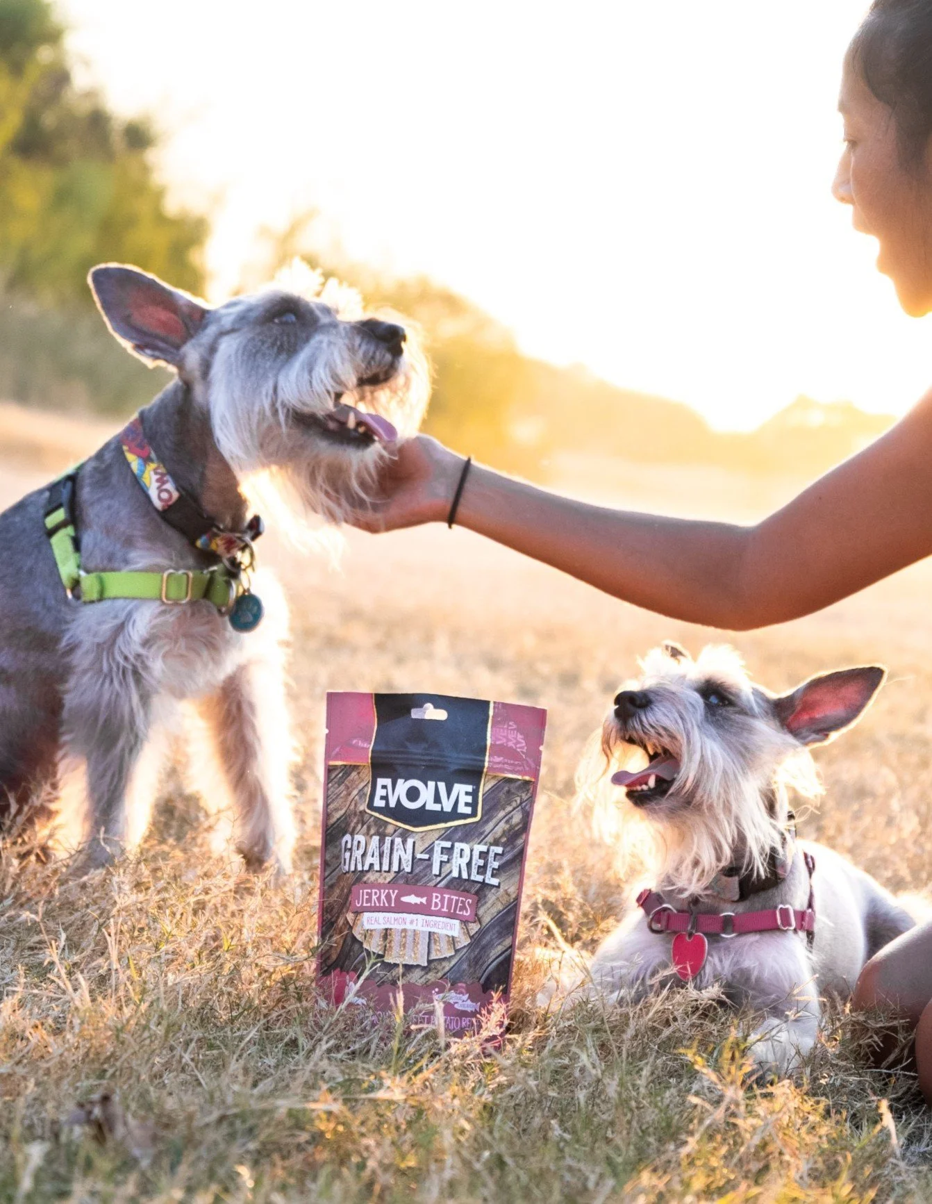 You can tell which one is the favorite (It changes every five seconds)
Either way, they both think this bag of Jerky Bites is for them.