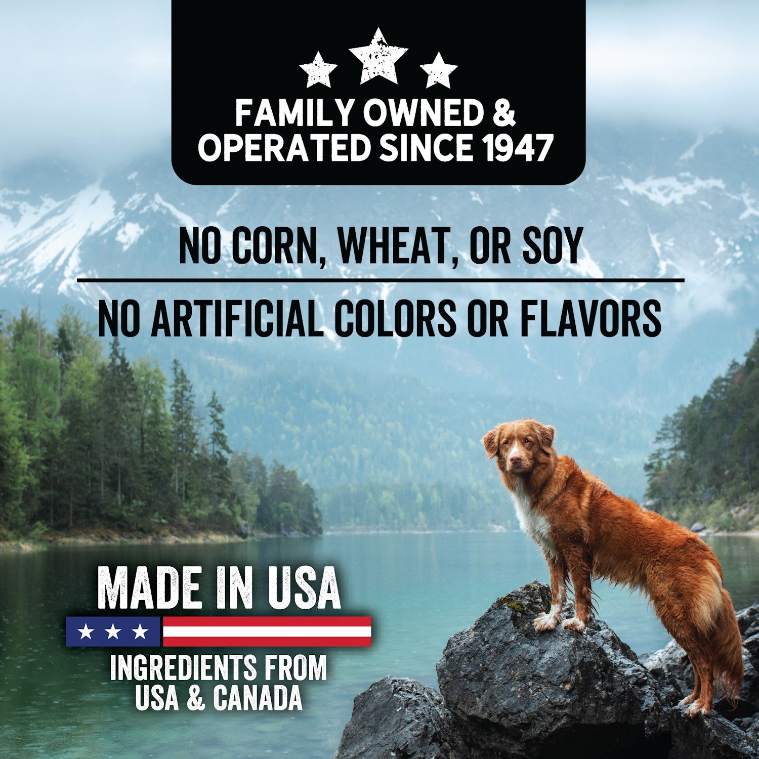 Evolve_Dog_GrainFree_Duck_JerkyBites_Layout-04.jpg