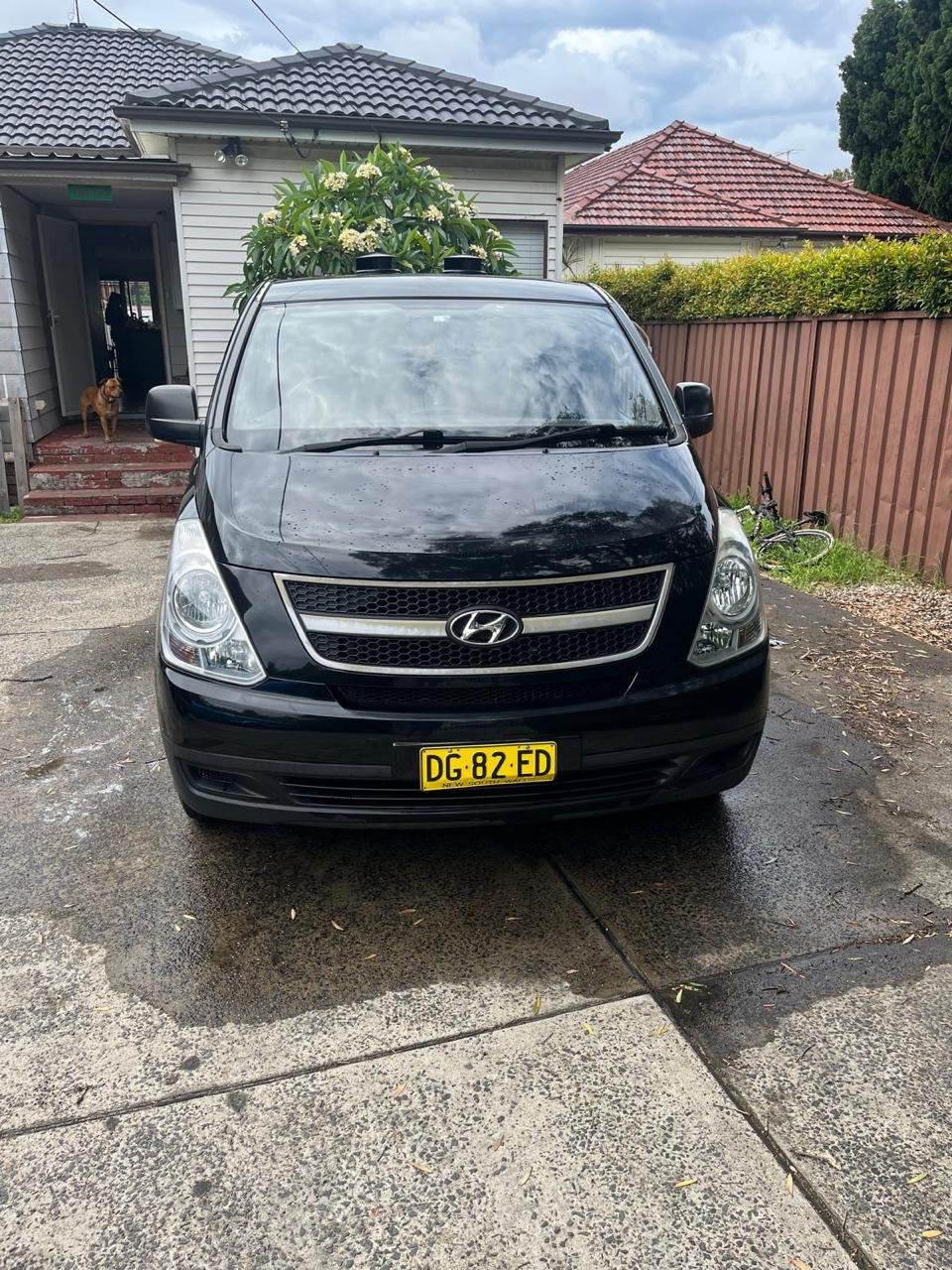 Front View-Kevin Tolan Ref NSW 107.jpg