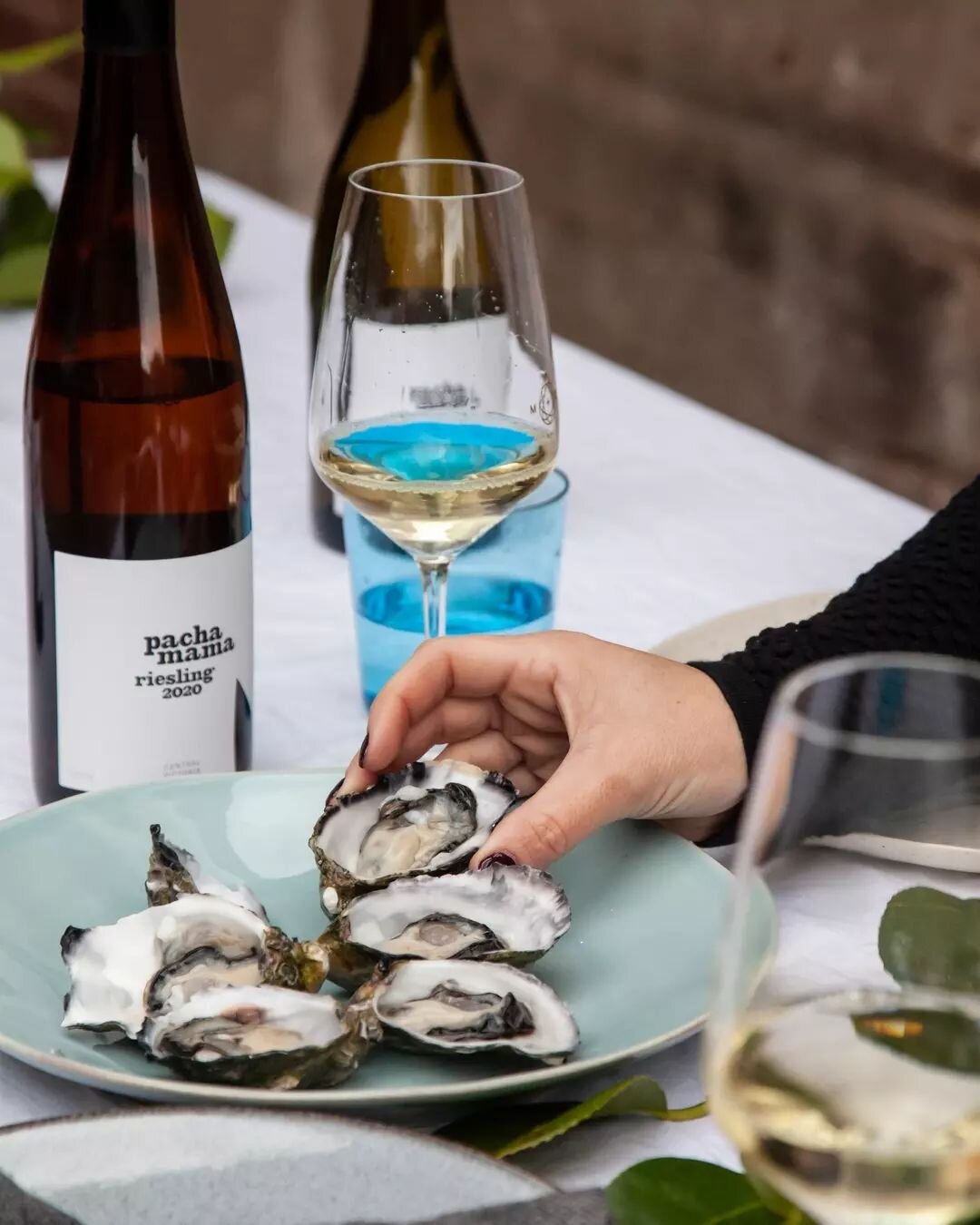 There might be more famous pairings but there is a lesser known match that we think is well worth experimenting with &ndash; Oysters and Riesling!
​
​Pacha Mama Riesling is lush and full of citrus with a minerality with a refreshing finish &ndash; we