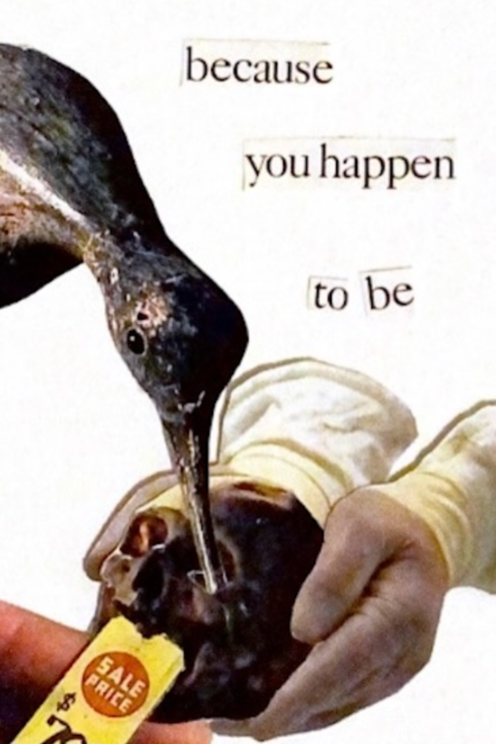 Collage Nina Burgess