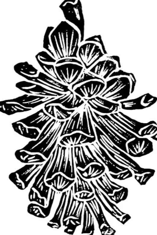 Block Print  - Nina Burgess