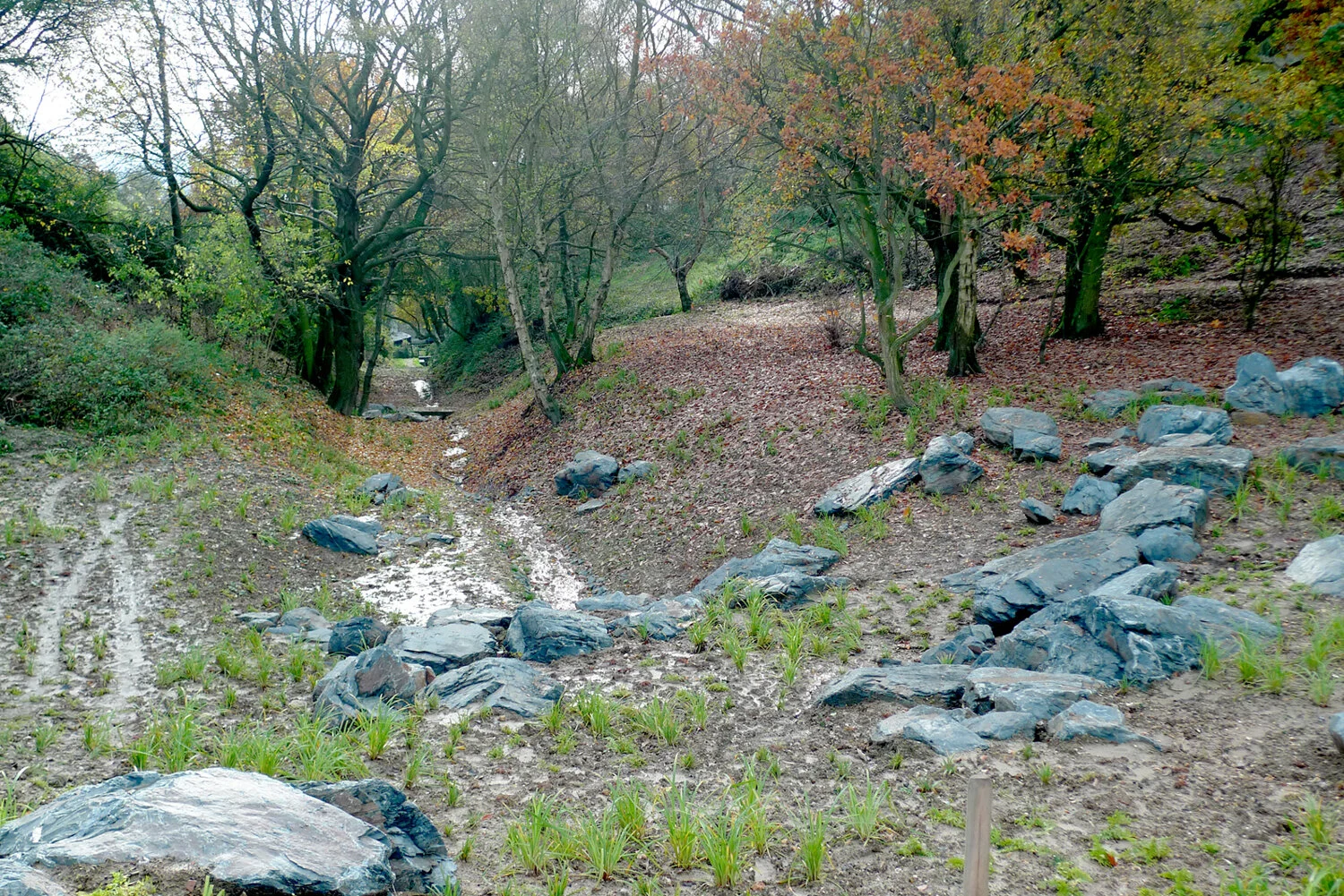Vallon de la Fondance