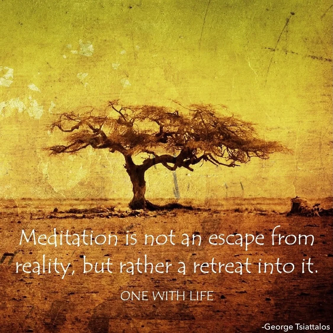 Meditation helps create gaps in the torrent of thinking that begins to lessen the quantity and heighten the quality of thought. It is not about having a particular kind of experience, but more so how you relate to all passing experience. Thinking bec