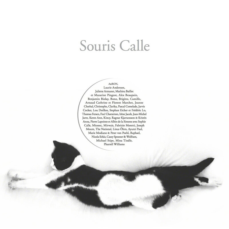 Sophie Calle - Souris Calle (copie)