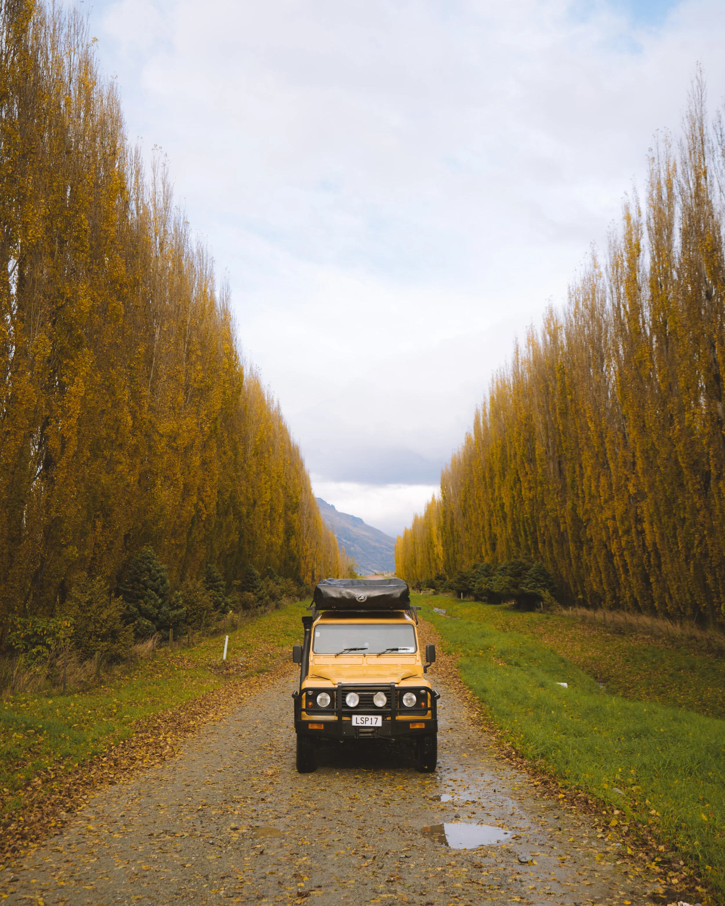 MV_Autumn_10.jpg