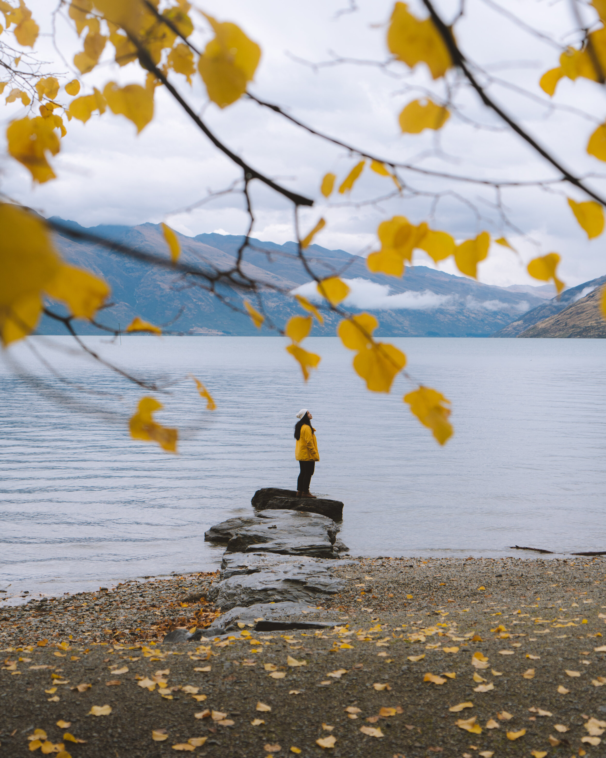MV_Autumn_04.jpg