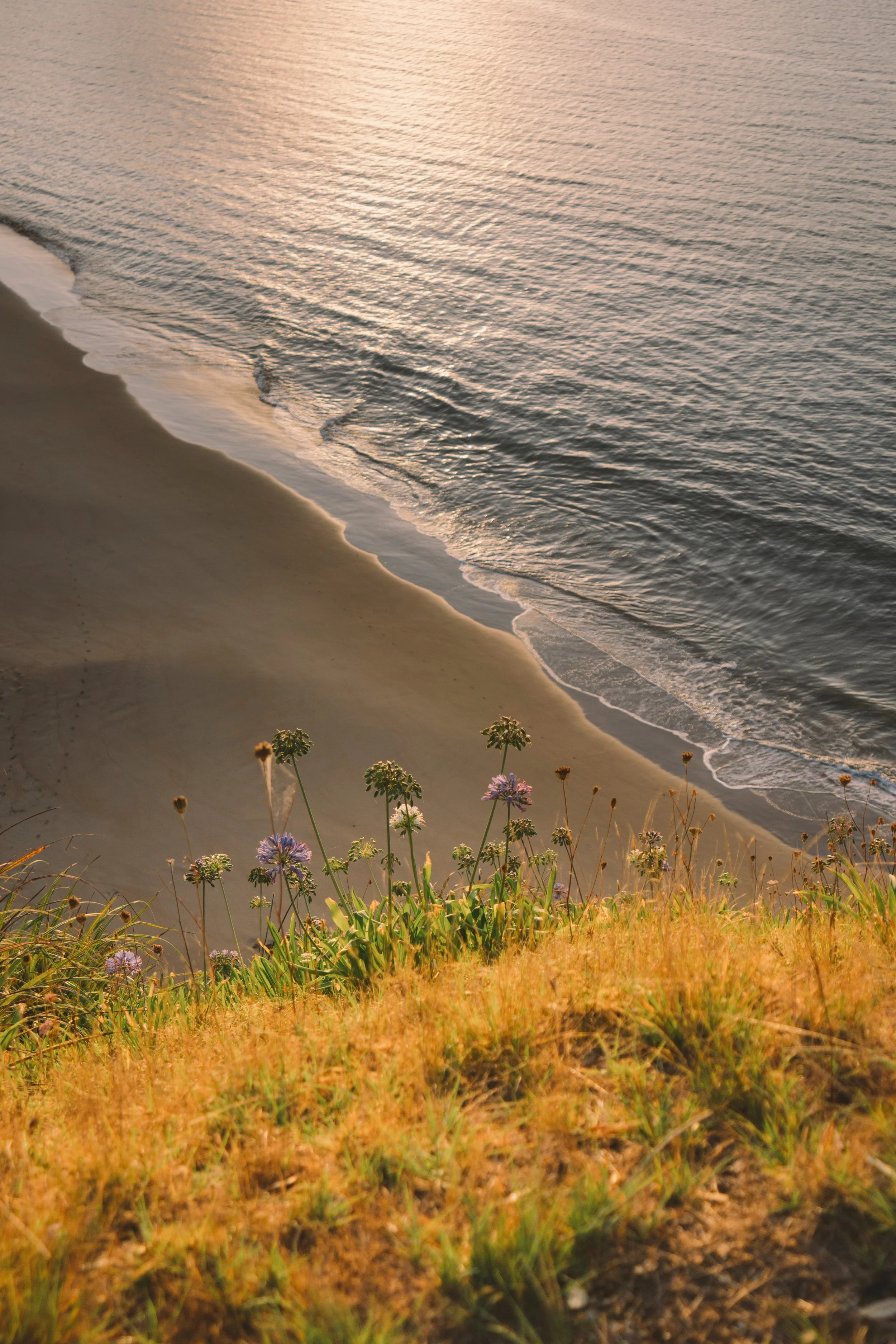 Landscape_The Palm_3.jpg