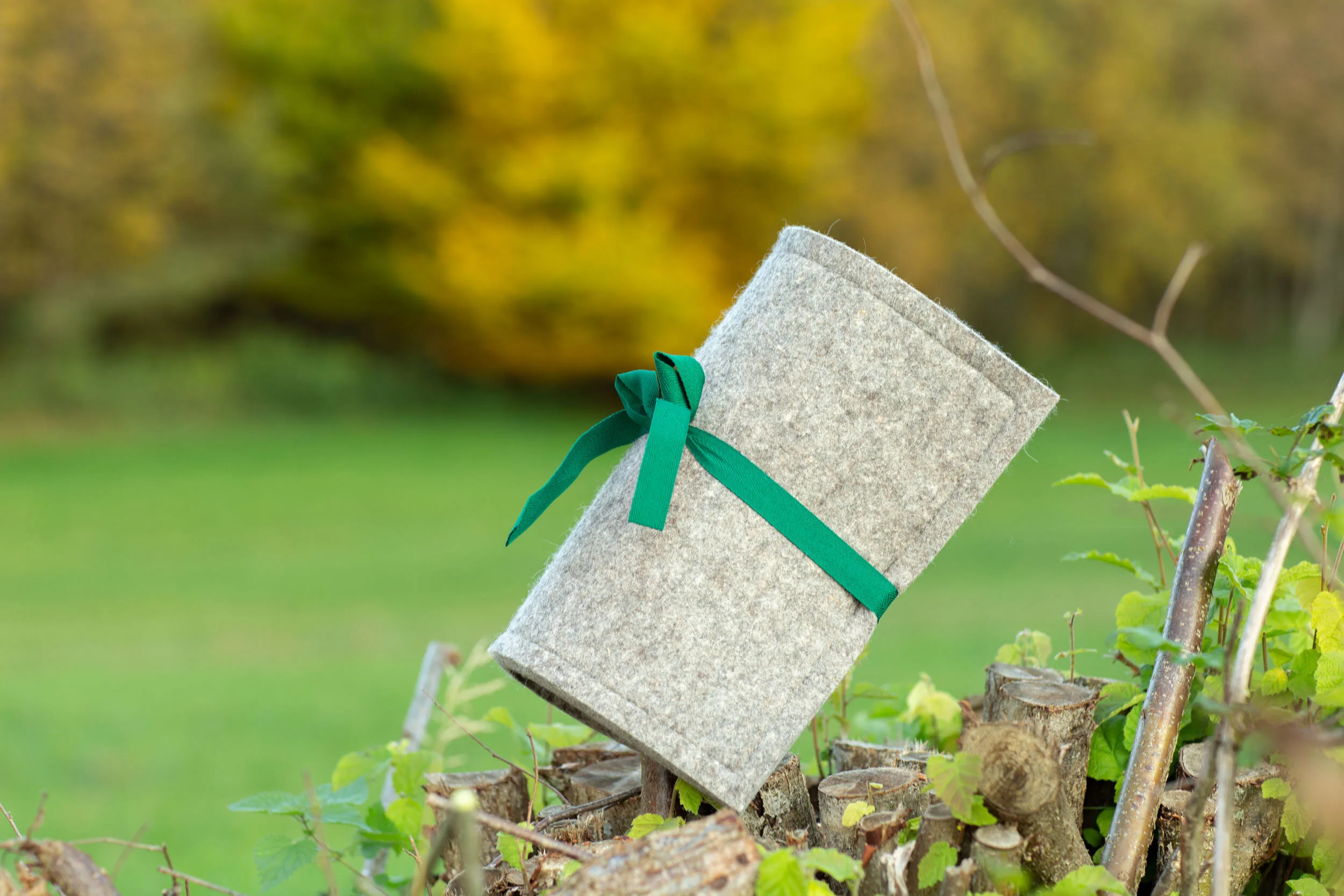 3FCBFD0F-8174-4A47-B92D-1066E4E1E855