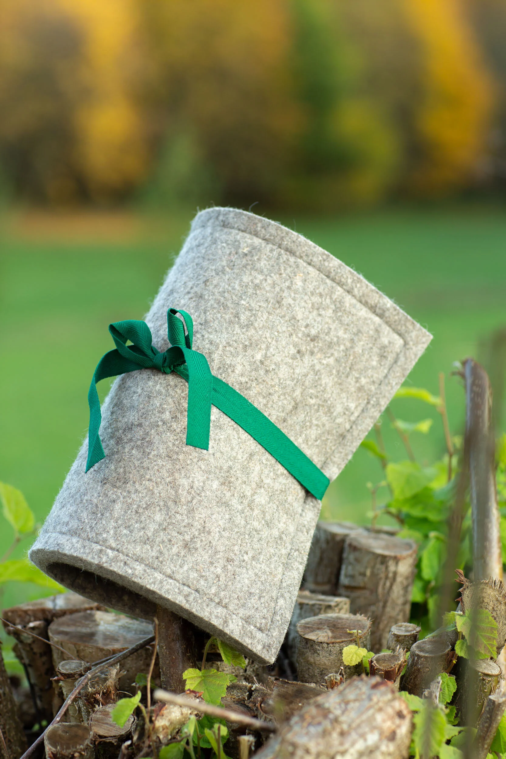 0DF6012B-8E2C-4D8D-A312-360129F8D64A