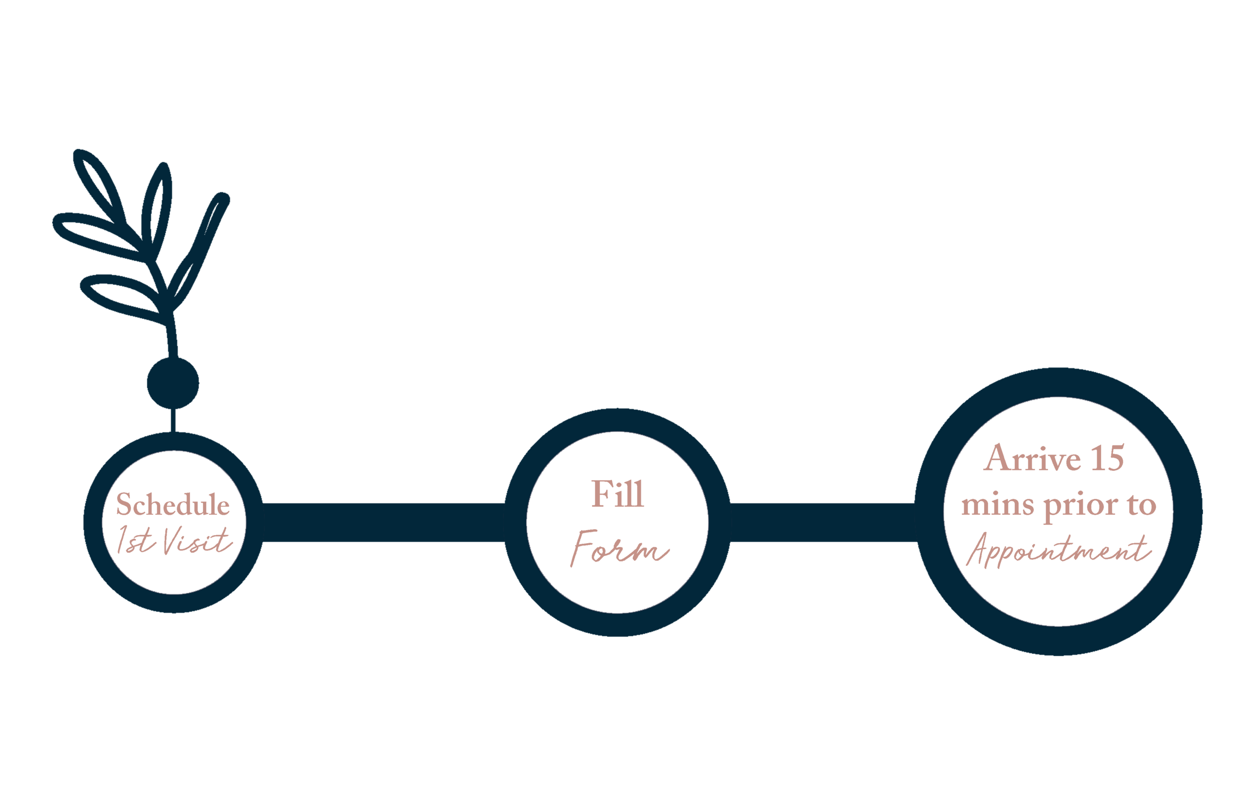 Ponsonby Chiropractor