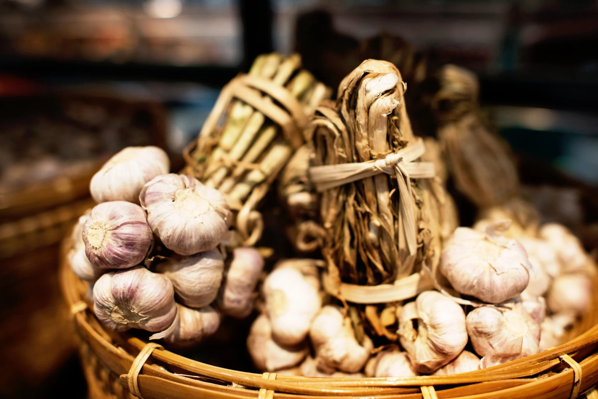 Garlic