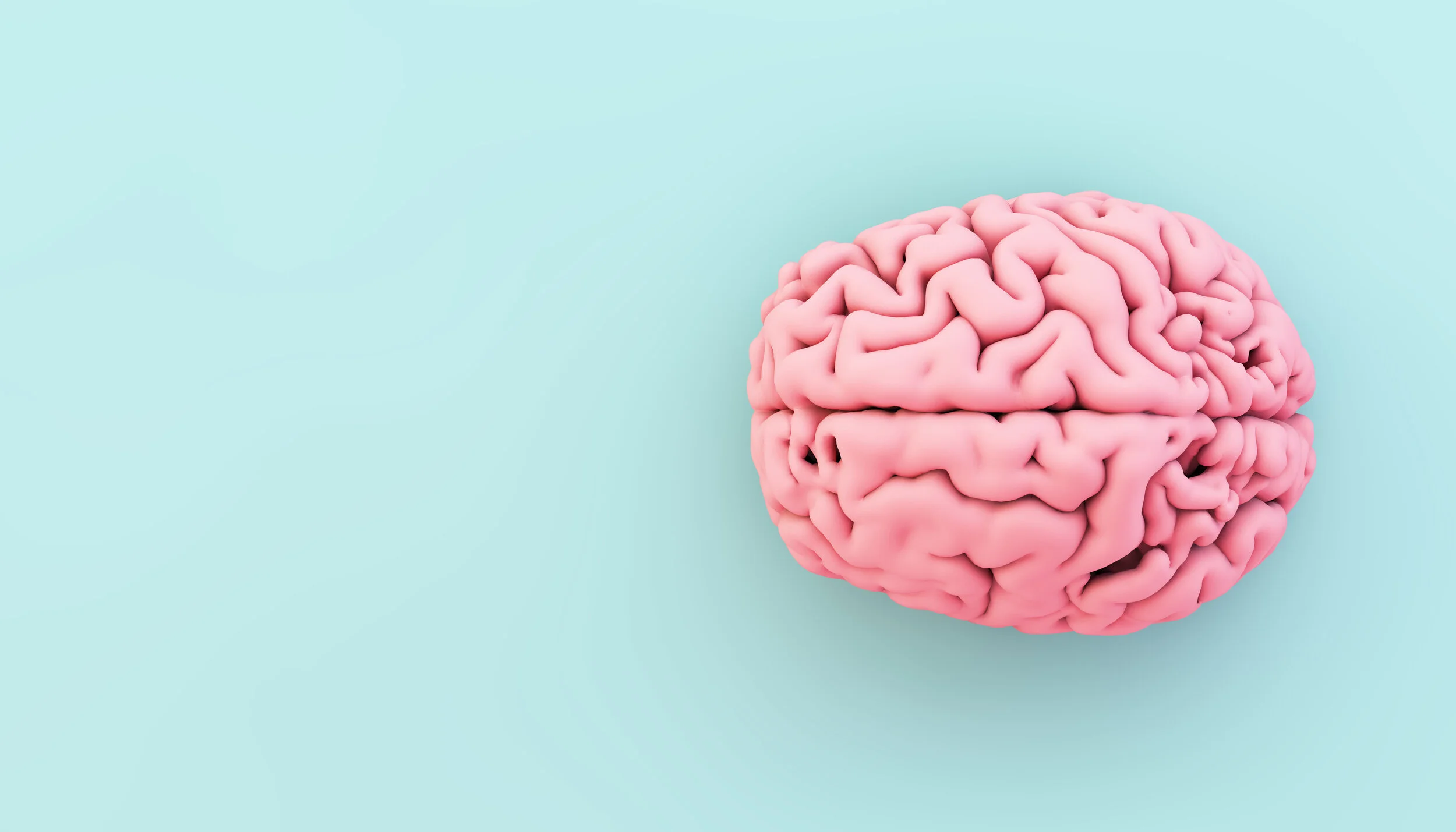 AdobeStock_288869139.jpeg