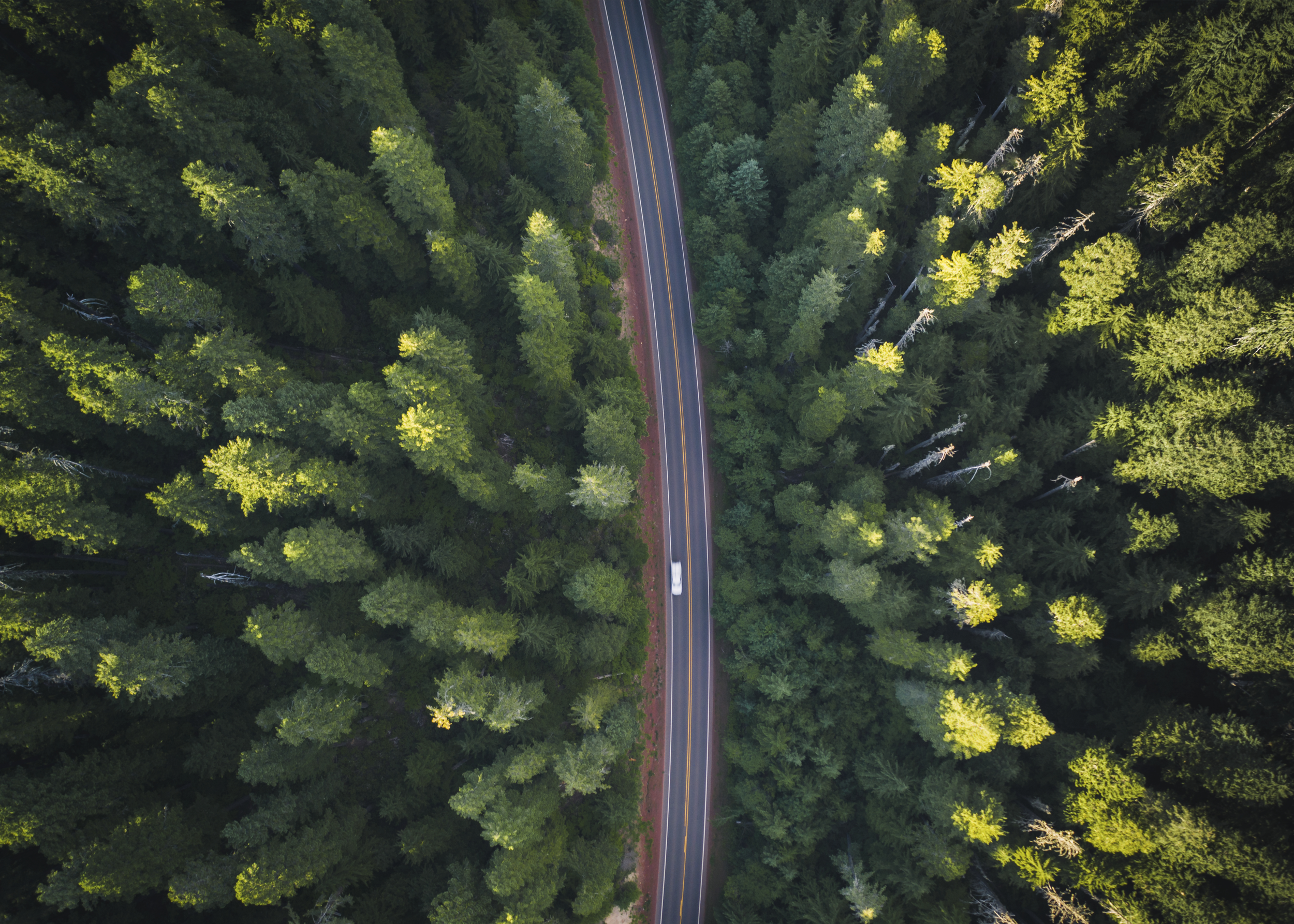 image-from-rawpixel-id-457083-jpegg.png