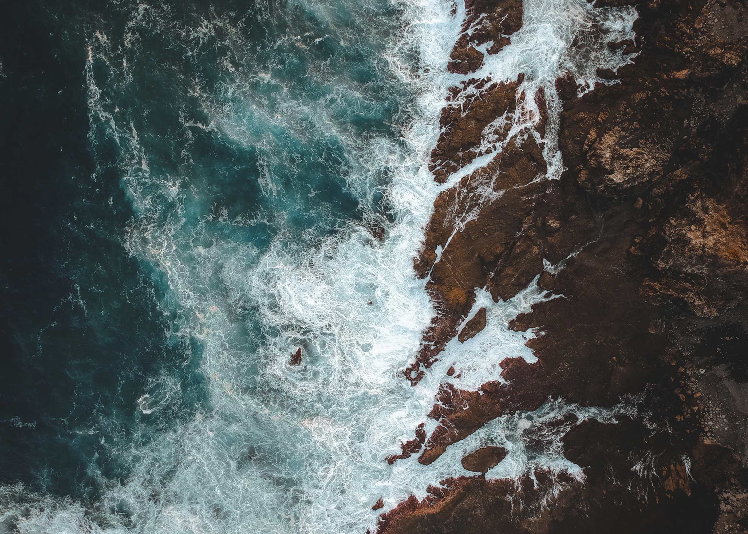 image-from-rawpixel-id-457083-jpeg.png
