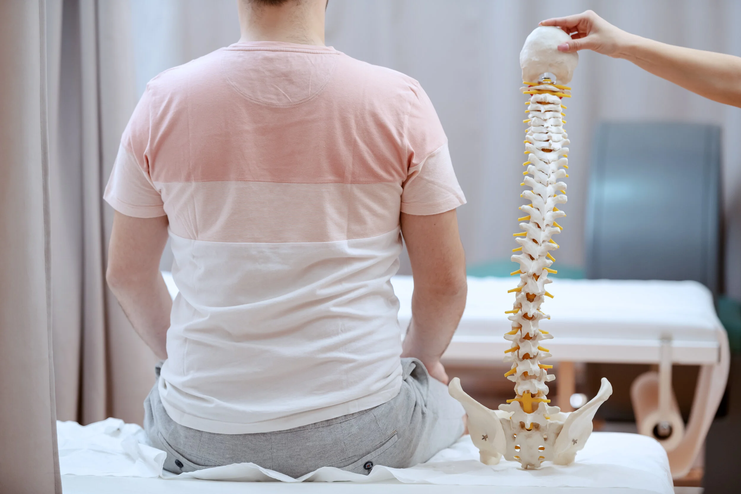 What is chiropractic