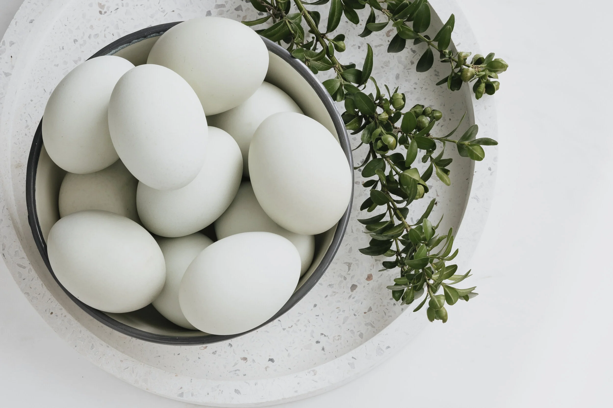 eggs
