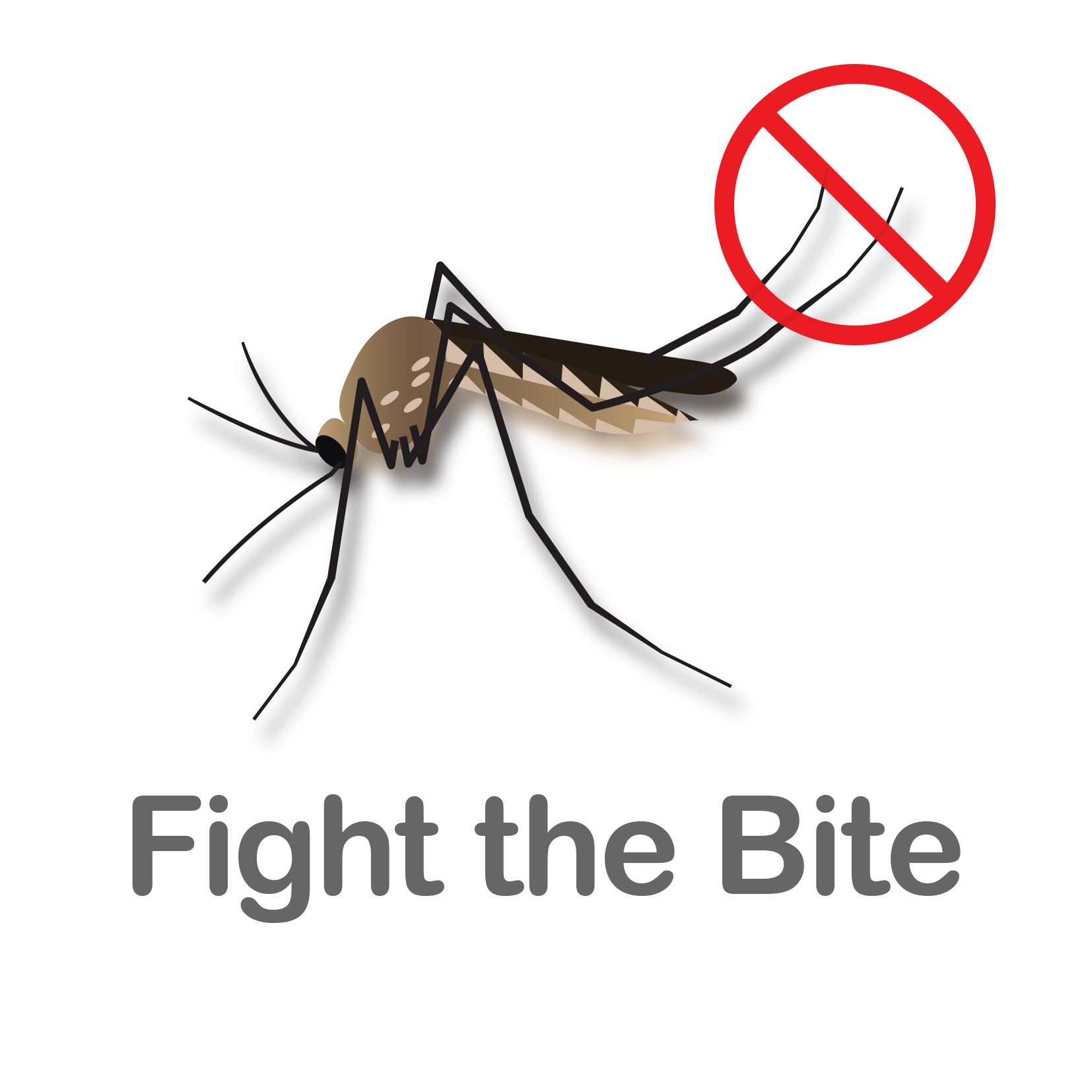 Fight the Bite