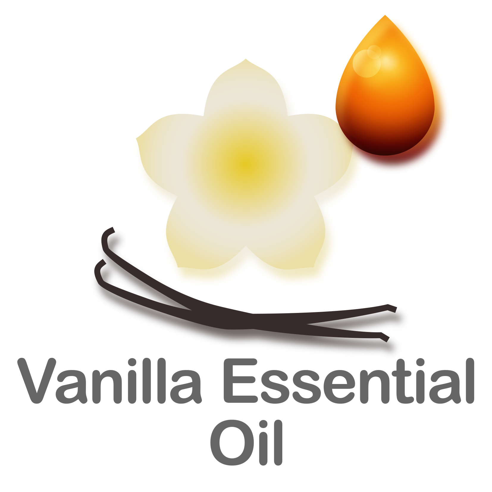 Vanilla Essential Oil