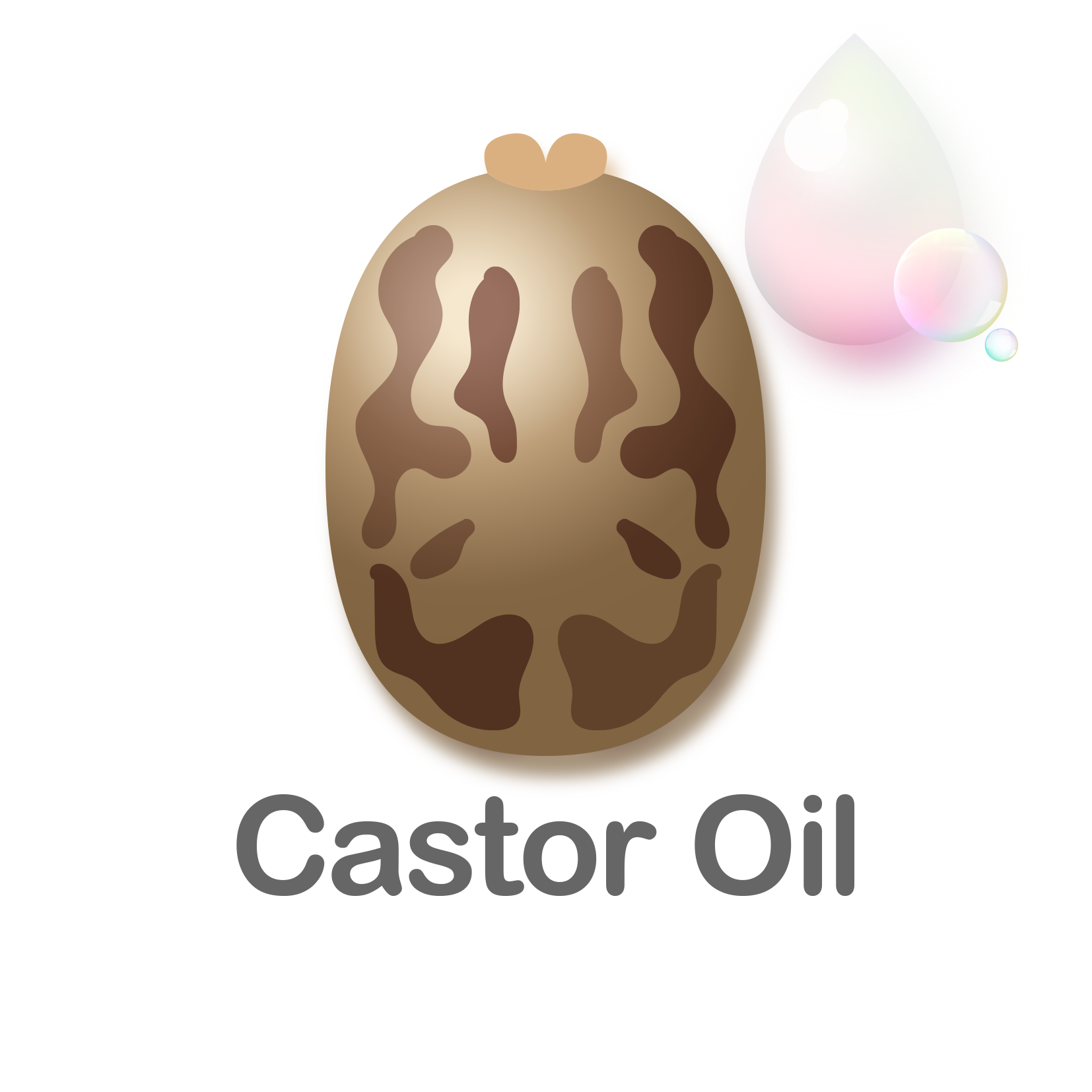 Castor Oil (Copy) (Copy)
