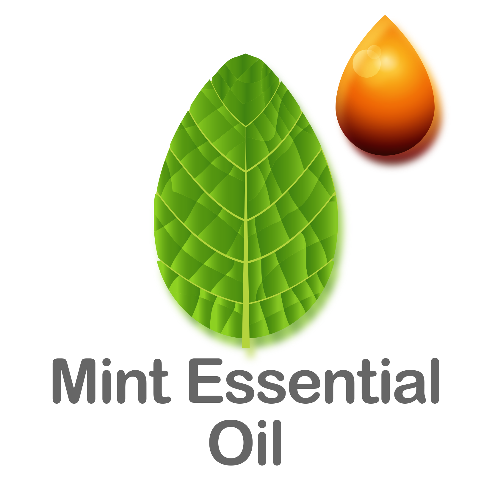 Mint Essential Oil