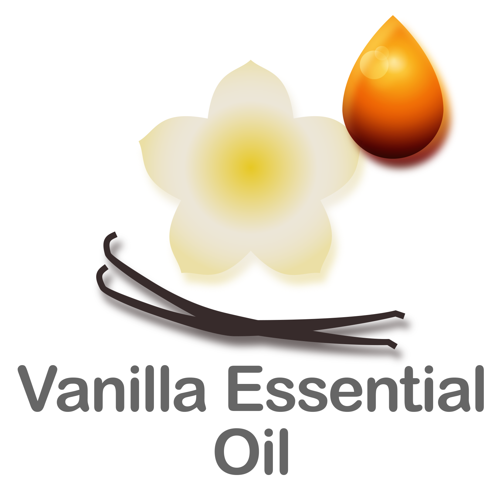 Vanilla Essential Oil 