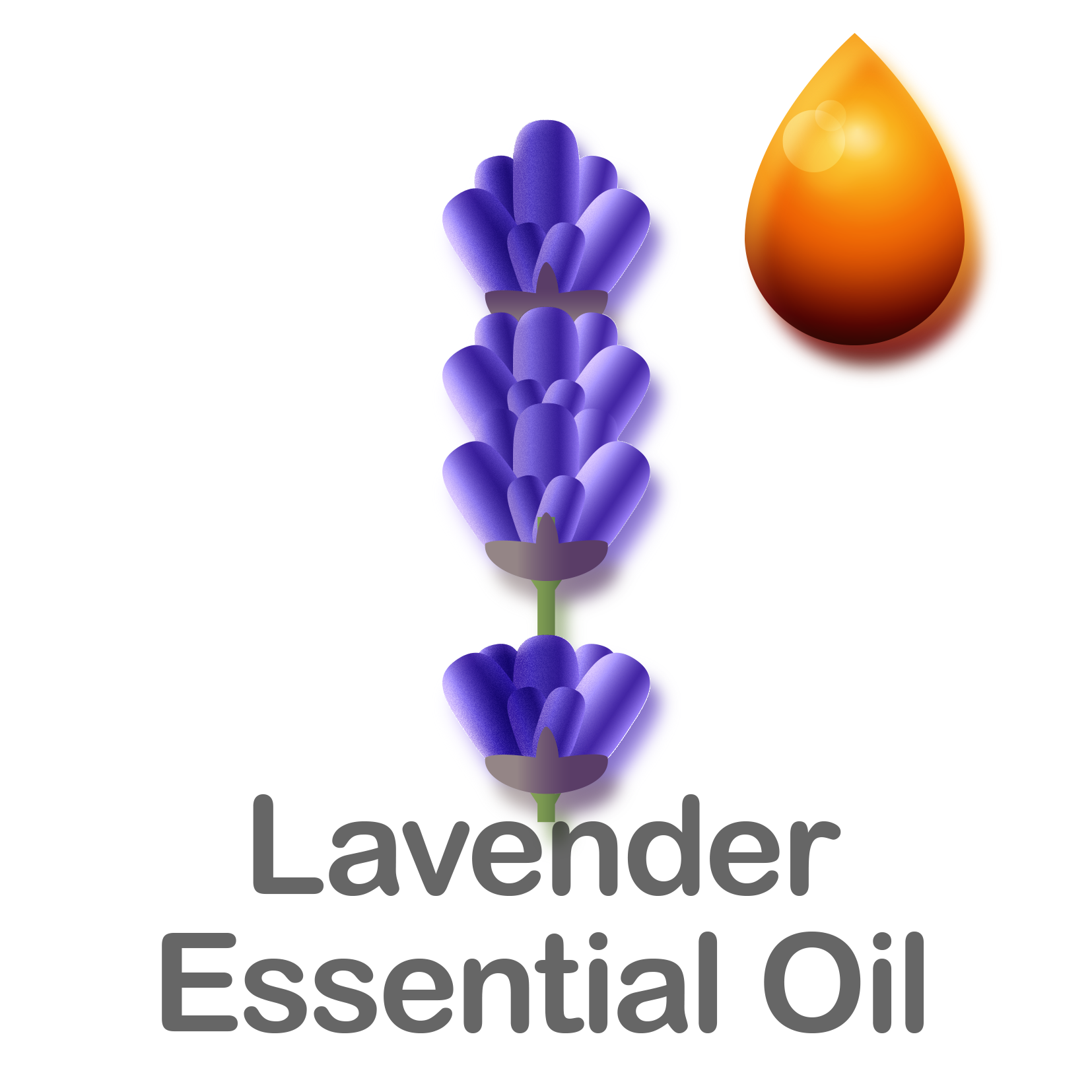 Lavender Essential Oil