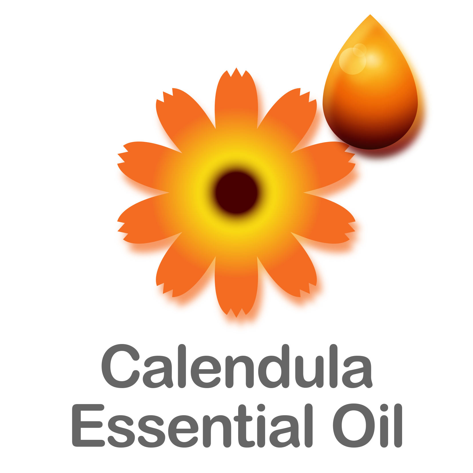 Calendula Essential Oil 