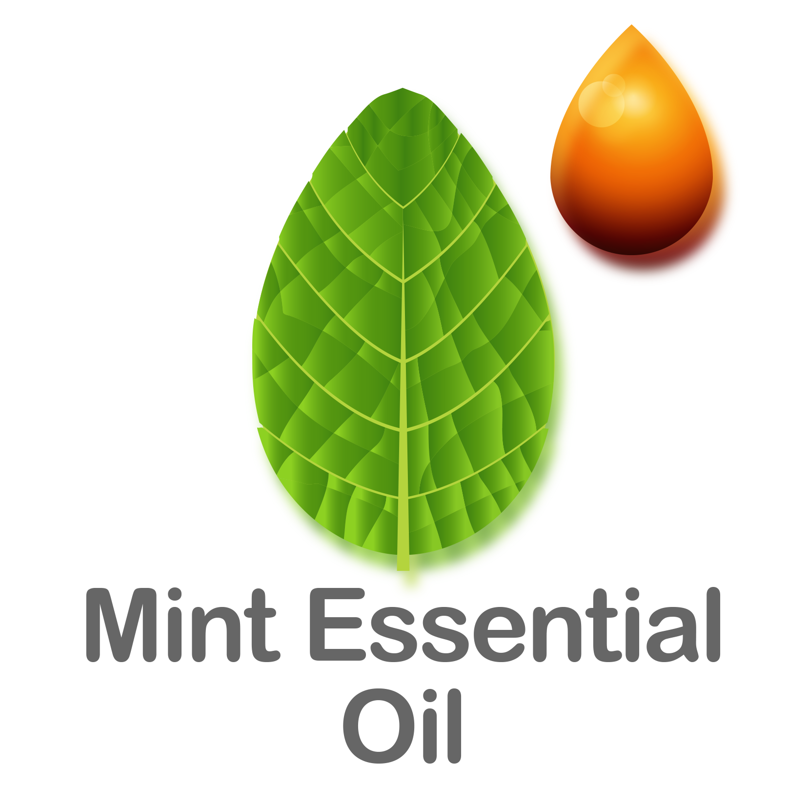 Mind Essential Oil 