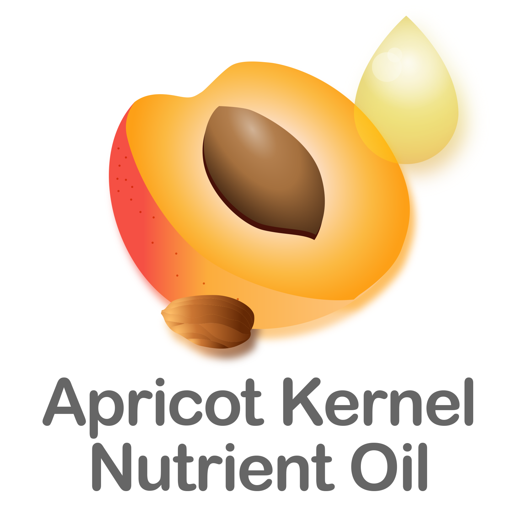 Apricot Kernel Nutrient Oil